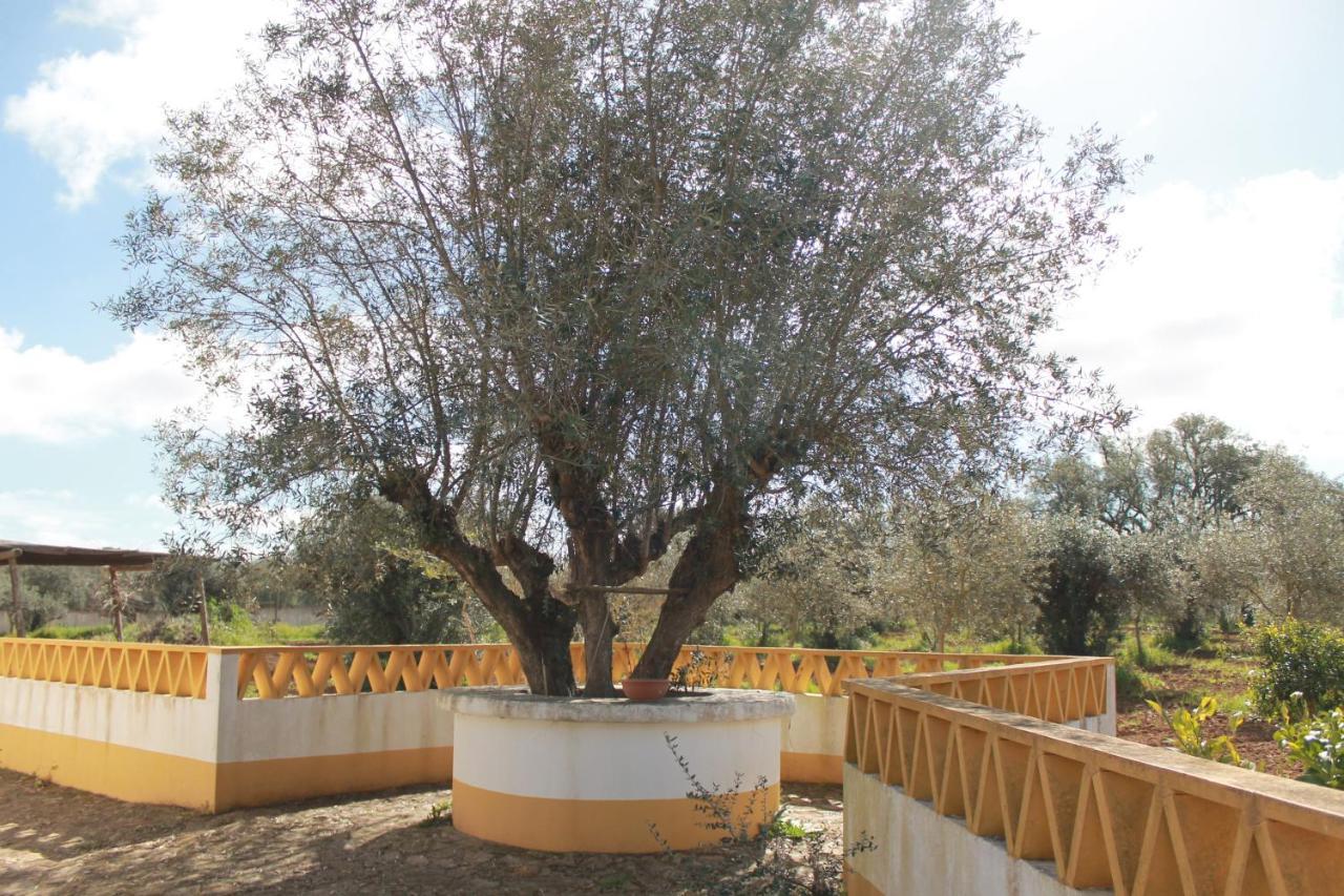 Villa Montinho Do Palanque Viana do Alentejo Exterior foto
