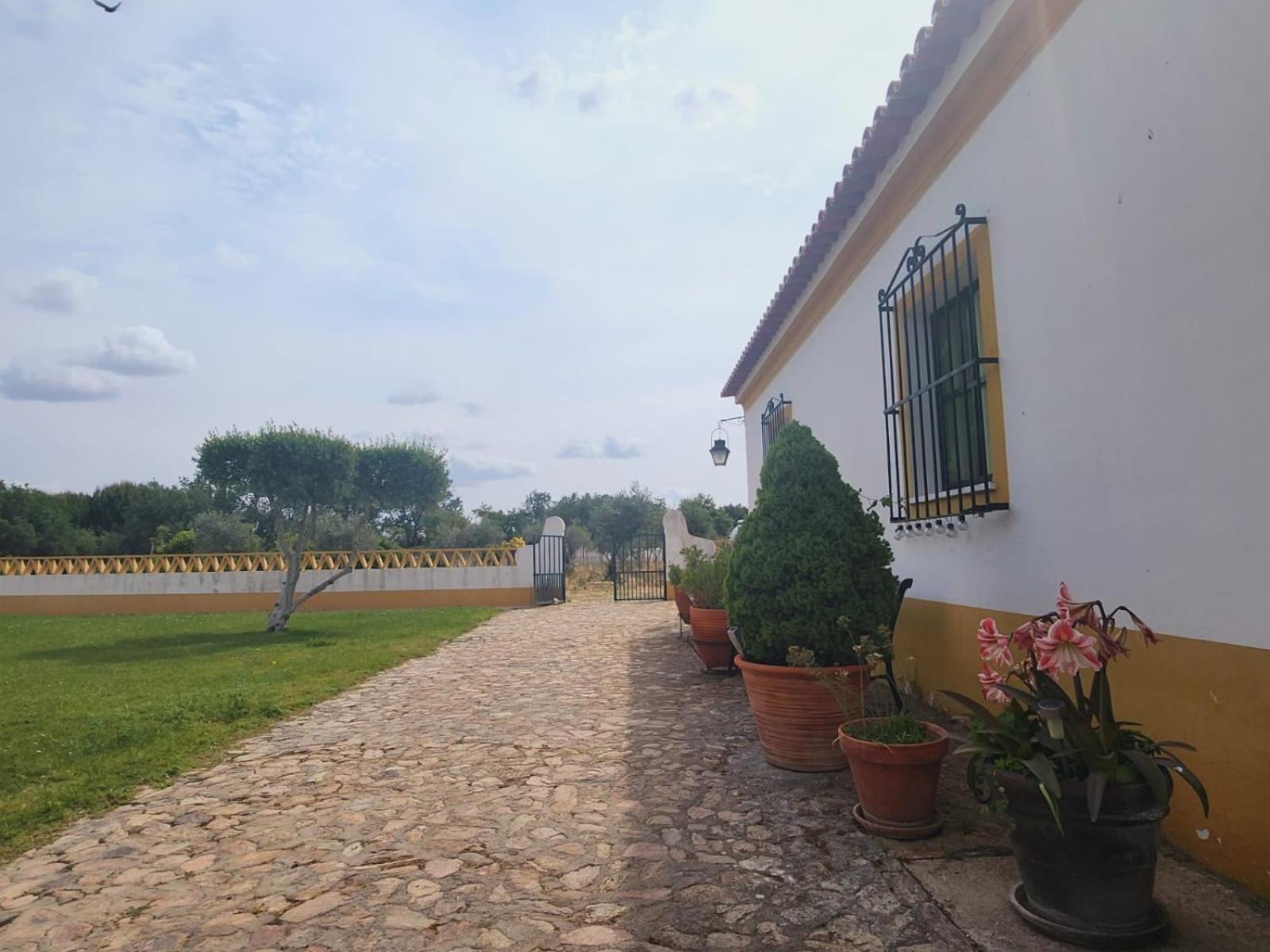 Villa Montinho Do Palanque Viana do Alentejo Exterior foto