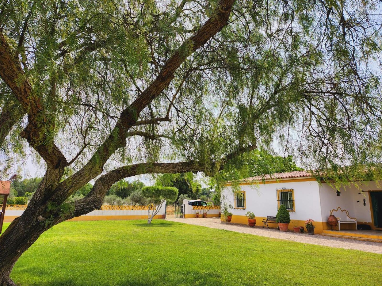 Villa Montinho Do Palanque Viana do Alentejo Exterior foto