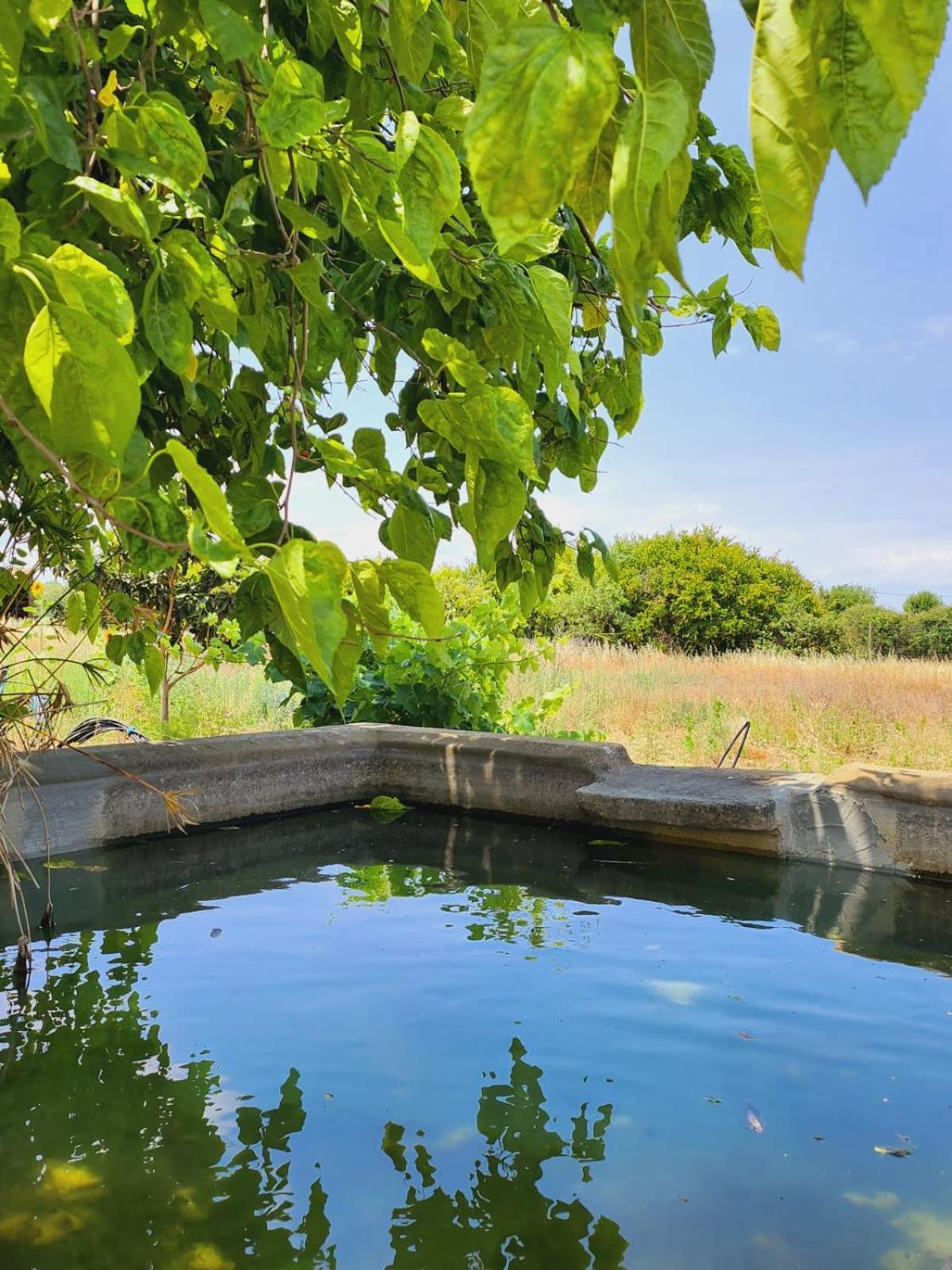 Villa Montinho Do Palanque Viana do Alentejo Exterior foto