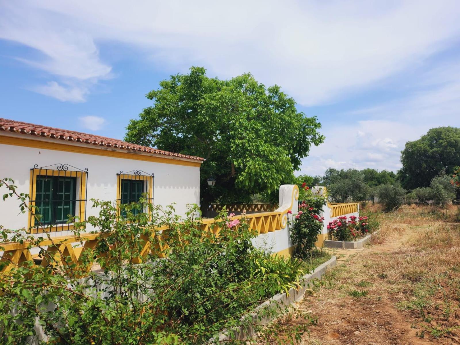 Villa Montinho Do Palanque Viana do Alentejo Exterior foto